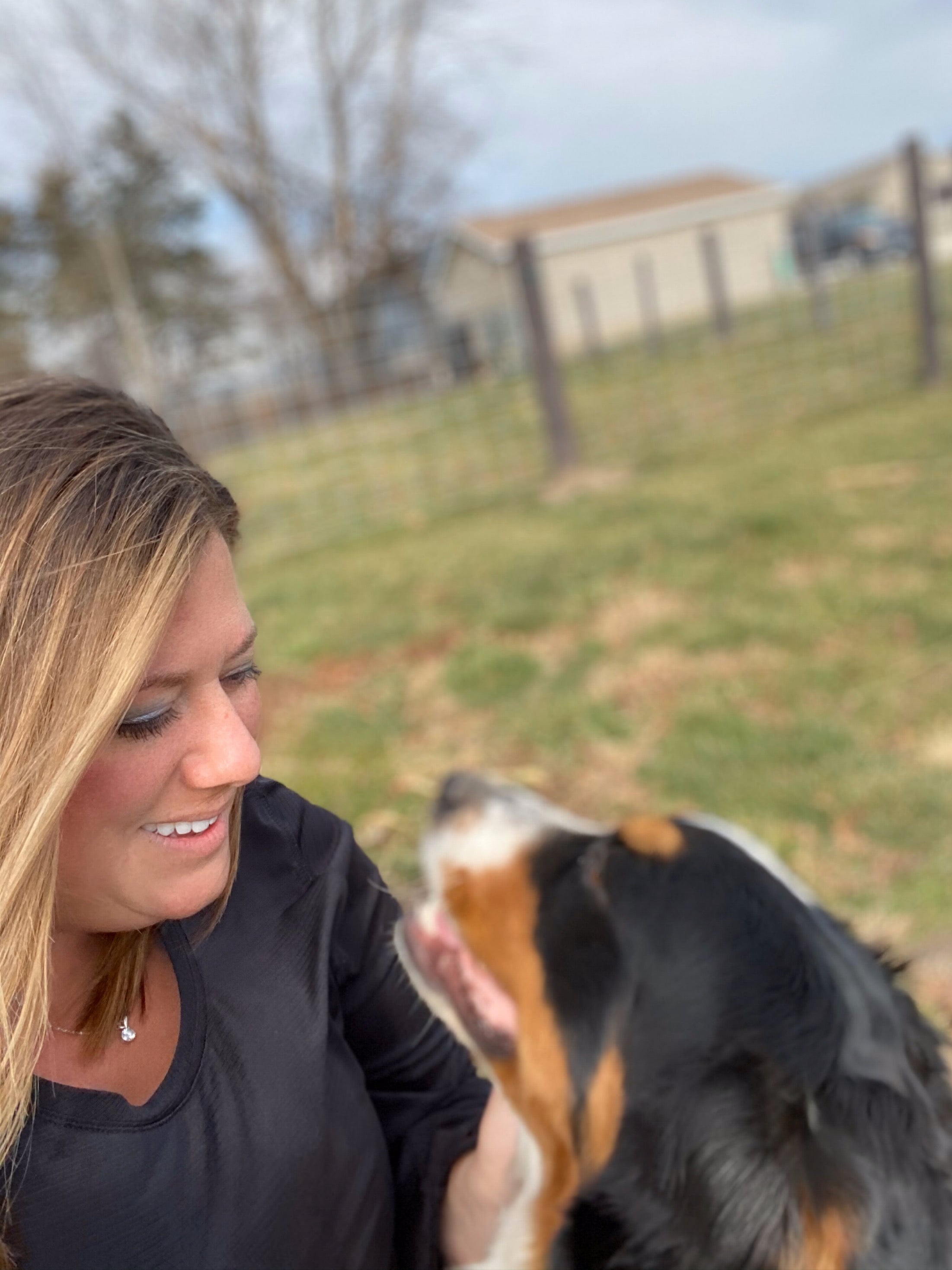 Graham Doodles of Iowa offers dog boarding and puppies in Iowa Graham